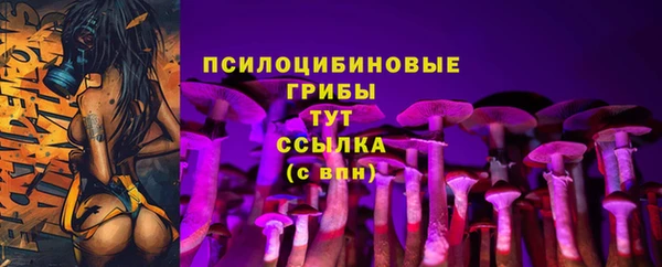 дживик Заволжье