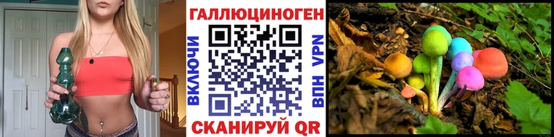 Галлюциногенные грибы Psilocybe  Купить  Кириллов 